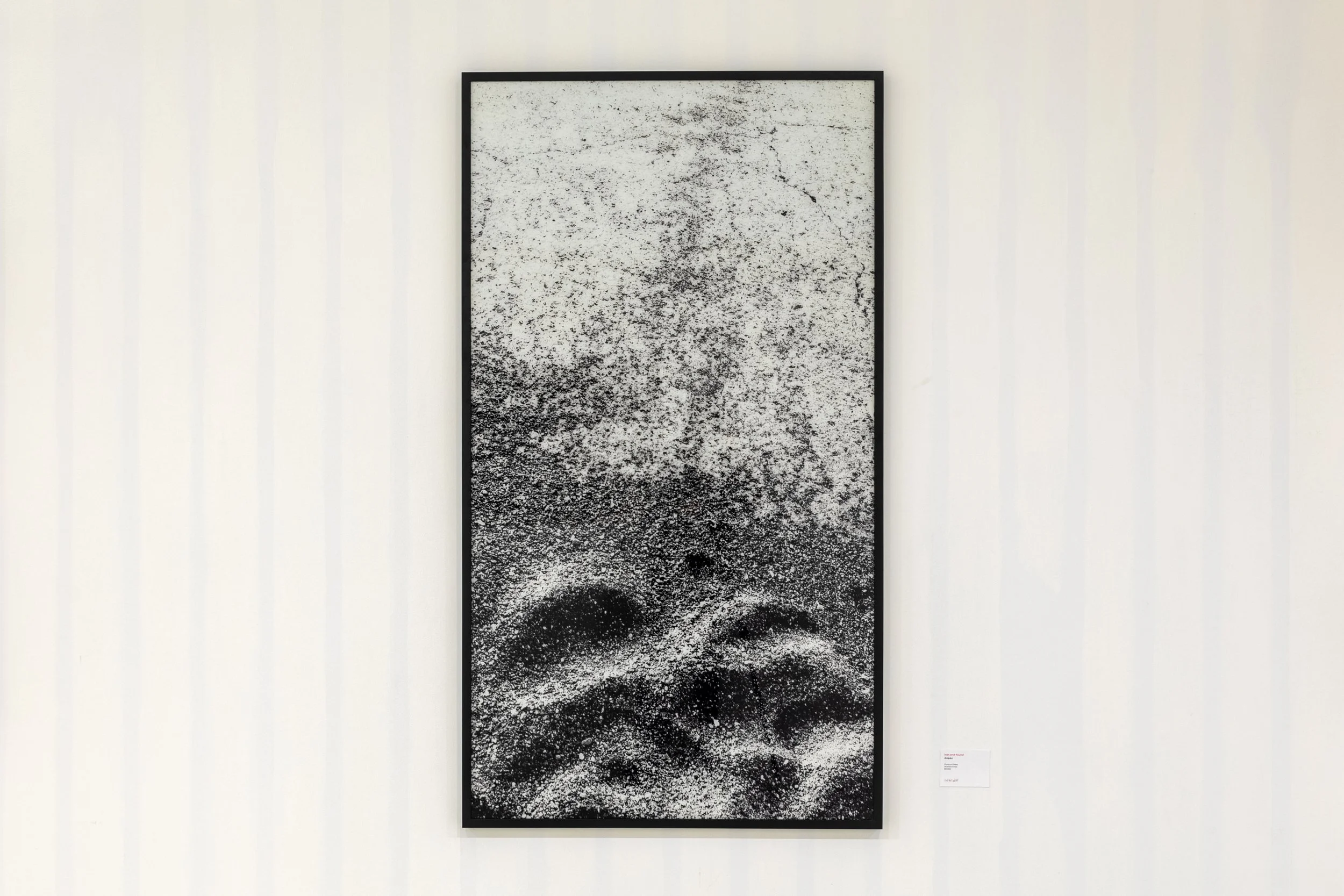 lost and found — Art Wolf Gallery